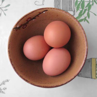 eggs.jpg