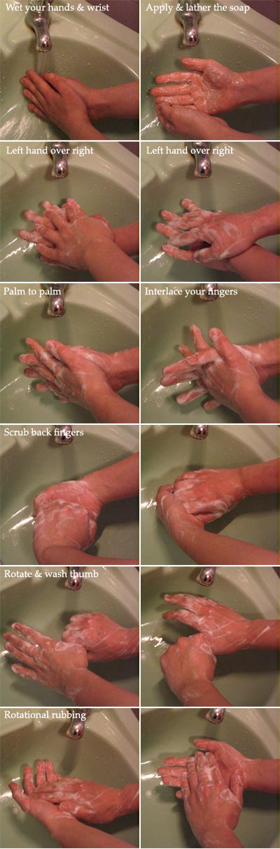Step by step pictures of how to wash hands effectively