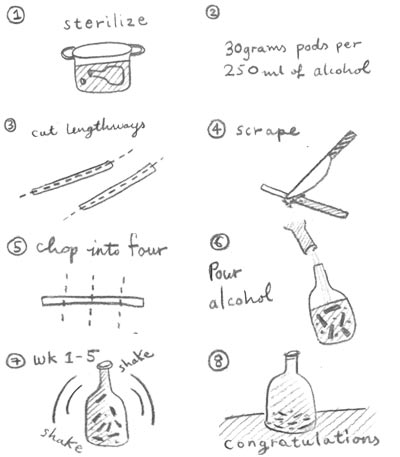 Homemade vanilla extract Recipe