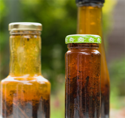 Homemade vanilla extract Recipe